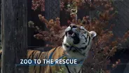 Zoo to the Rescue