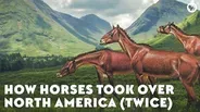 How Horses Took Over North America (Twice)