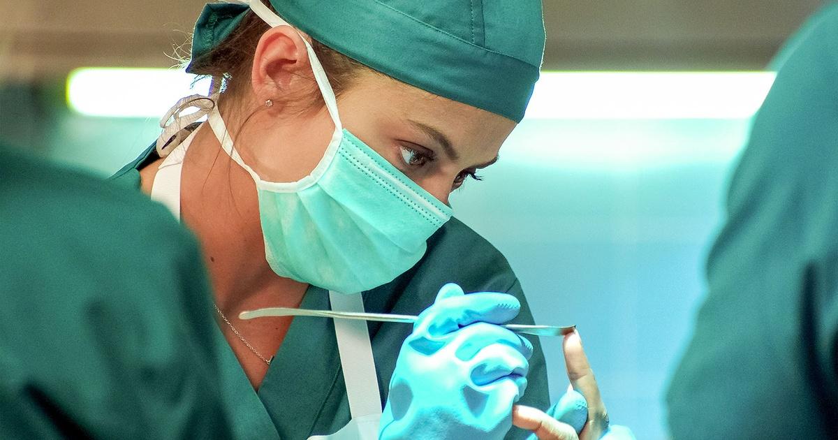 The Good Apprentice The Apprentice Season 1 Episode 3 WEDU PBS