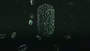 Are We All Actually Archaea?
