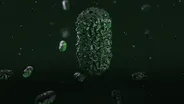 Are We All Actually Archaea?