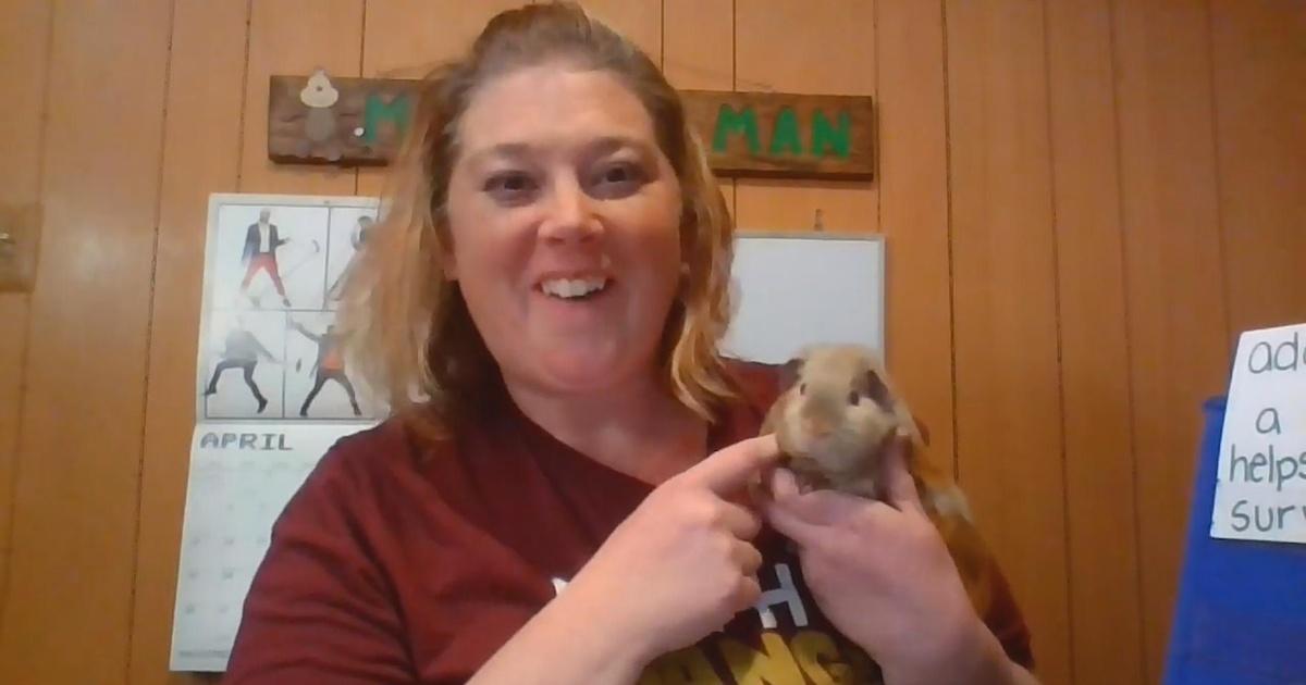NJTV Learning Live | Animal Adaptations - Dana Skillman - Fourth Grade | WNED PBS NJTV Learning Live | Animal Adaptations - Dana Skillman - Fourth Grade | WNED PBS