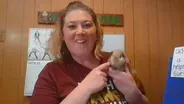 Animal Adaptations - Dana Skillman - Fourth Grade
