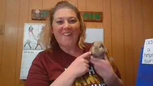 Animal Adaptations - Dana Skillman - Fourth Grade