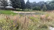 Creating a Monarch Waystation