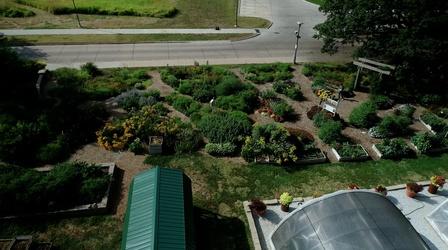 Video thumbnail: Backyard Farmer 2022 Season Finale