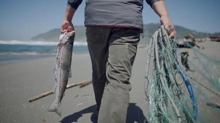 Video thumbnail: Tending The Wild Keeping the River
