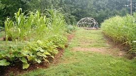 Video thumbnail: Virginia Home Grown Update a Garden Space; Hugelkultur (#1805)