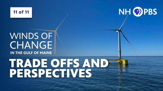 How do we balance the trade-offs and perspectives?