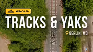 Tracks & Yaks is a Unique Way to Explore Berlin, Maryland