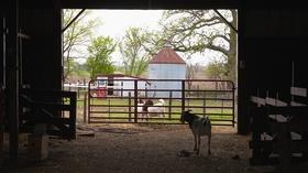Video thumbnail: Greetings from Iowa EPISODE | IOWA FARM SANCTUARY