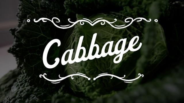 The Key Ingredient | Preview | Cabbage Love