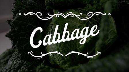 Video thumbnail: The Key Ingredient Preview | Cabbage Love