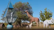 Roadside Oddities