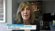 Sen. Jodi Habush Sinykin on a Bill to Regulate Data Centers