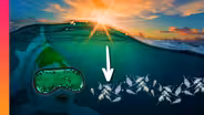 The Mystery Behind Earth’s Most Epic Migration