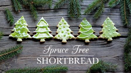Video thumbnail: Kitchen Vignettes Spruce Tree Shortbread