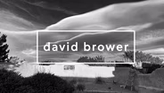 David Brower