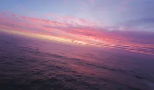 Flow