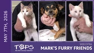 5/7/2026 | Marcel The Shell, Millie and Barbara | Mark's Furry Friends Extra