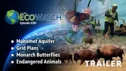 WTVP EcoWatch #201 | Trailer