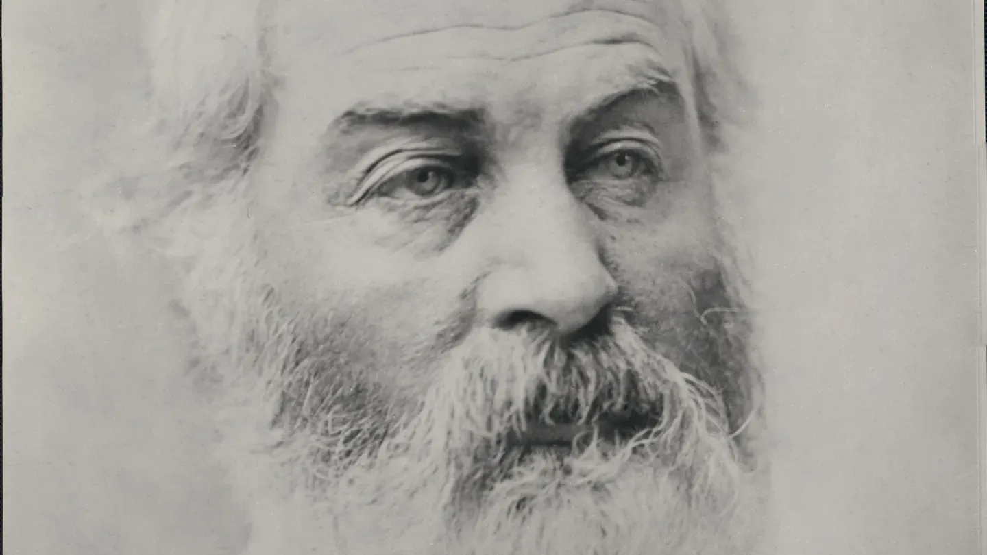 The Wound-Dresser, by Walt Whitman