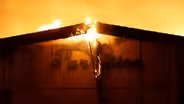 "Fire in Paradise" - Preview