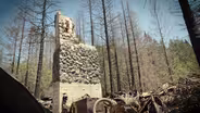 Opal Creek After Fire