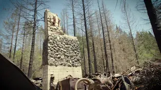 Opal Creek After Fire