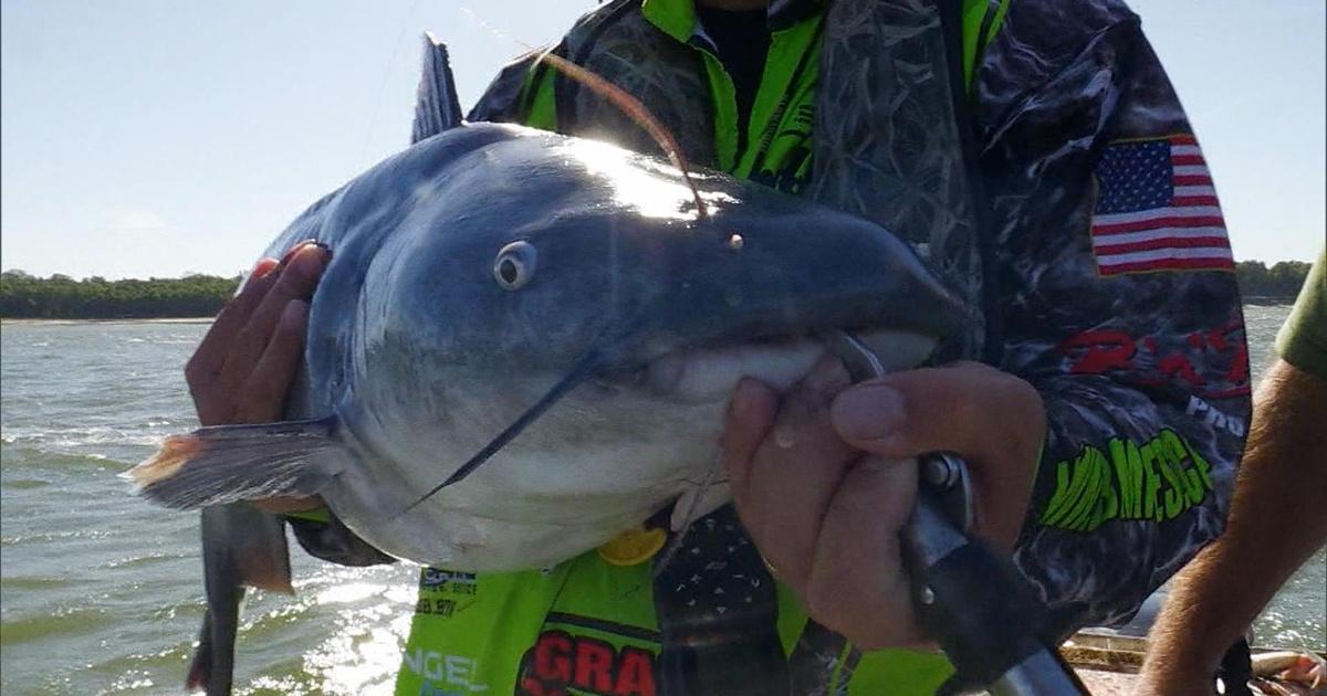 Kentucky Afield Catfishing; Rabbit Hunt; Bat Survey Season 36