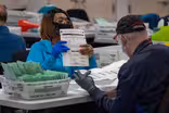 What the 2022 midterms say about the state of U.S. democracy