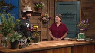 Plants to Engage the Senses