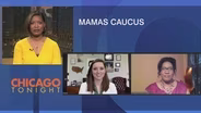 Illinois Public Officials Create Mamas Caucus