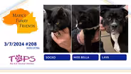 3-7-2024 | Socko, Miss Bella, and Lava | EXTRA
