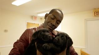 Canine and Teacher Appreciation