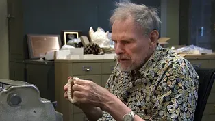 Geerat Vermeij | Curiosity Project