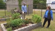 Planting Flowers in the Butterfly Garden; Songbirds as Pests