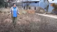 Winter Pruning: Companions
