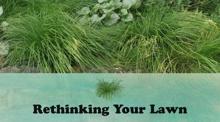 Video thumbnail: Let's Grow Stuff Rethinking Your Lawn