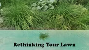 Rethinking Your Lawn