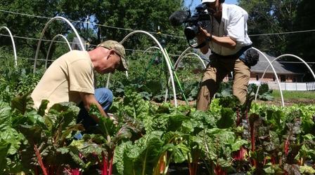 Video thumbnail: Maryland Farm & Harvest Episode 501