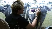 The Nature of Art