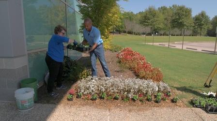 Video thumbnail: The Family Plot Planting Fall Annuals & Apple Tree Diseases
