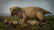 Who Survived the Great Dying – and Why | Life and Death on Pangea