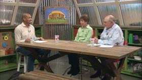 Video thumbnail: The Family Plot Spraying Peach Trees & Hanging a Bird Feeder