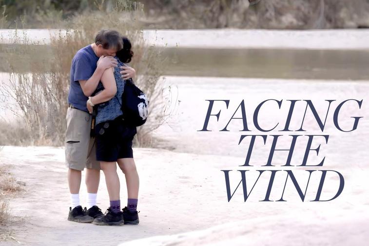 Facing the Wind Poster