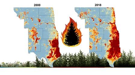 Video thumbnail: Backyard Farmer Backyard Farmer: Digging Deeper: Eastern Red Cedars on Rise