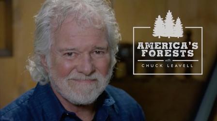 Video thumbnail: America's Forests with Chuck Leavell America's Forests with Chuck Leavell
