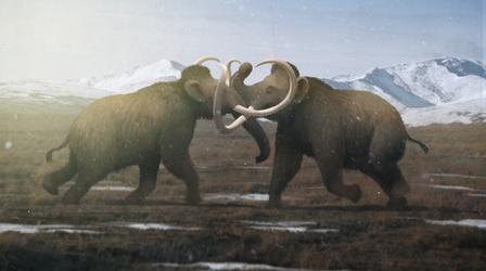 Video thumbnail: Eons Why Male Mammoths Lost the Game (w/ TierZoo!)