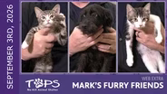 9/3/2026 | Jumper, Thumper and Spain | Mark's Furry Friends Extra